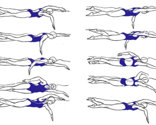 Serbest Yüzme Tekniğinde Kol Çekişi