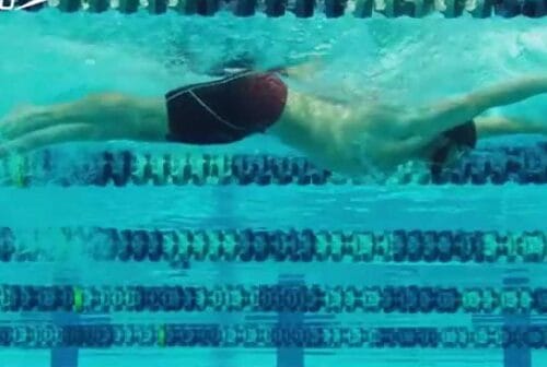 Kelebek Yüzme Tekniğinde Kol Hareketi