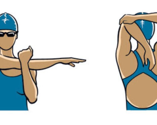 Yüzme Sporunda Esneklik Çalışmaları